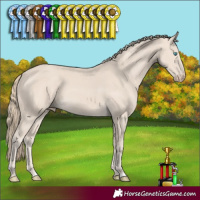 Horse Color:Smoky Creme 