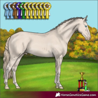 Horse Color:Smoky Creme 