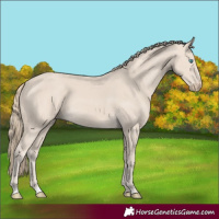 Horse Color:Smoky Creme 