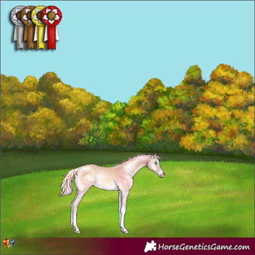 Horse Color:Cremello Onyx 