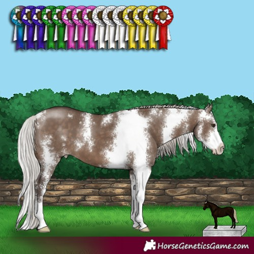 Horse Color:Silver Brown Dun Sabino 