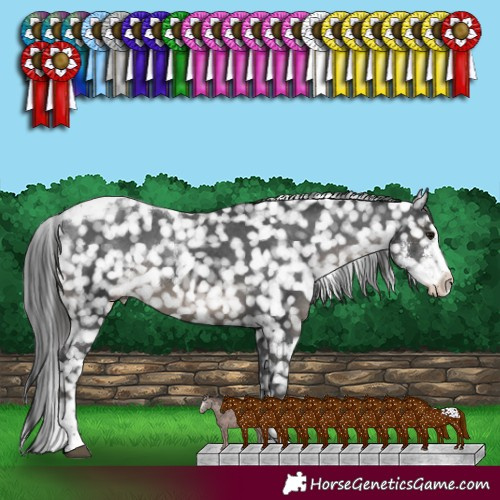 Horse Color:Black Sabino Tobiano Snowflake Varnish Rabicano 