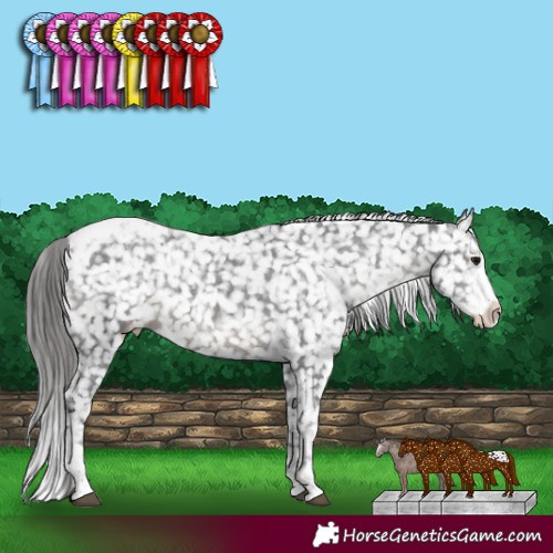 Horse Color:Black Sabino Tobiano Appaloosa Rabicano 