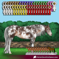 Horse Color:White Spotted Brown Sabino  and White Spotted Silver Bay Sabino 