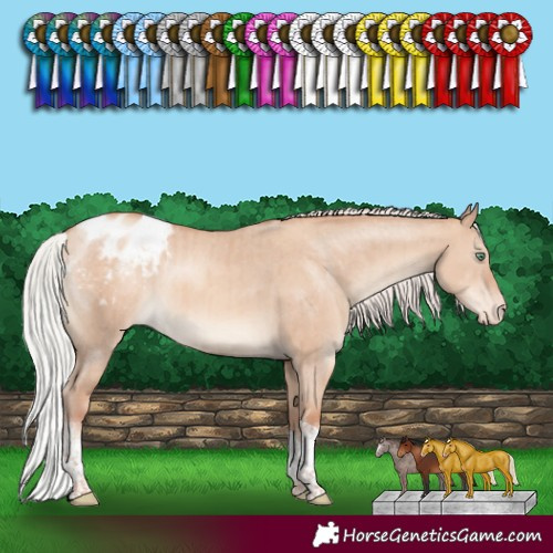Horse Color:Silver Sable Champagne Dun Sabino Tobiano Blanket Rabicano Brindle 