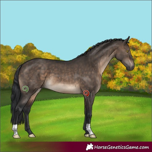 Horse Color:Brown Dun 