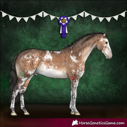 Horse Color:Brown Dun Sabino Brindle 