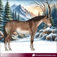 Horse Color:Liver Red Dun Sabino Brindle