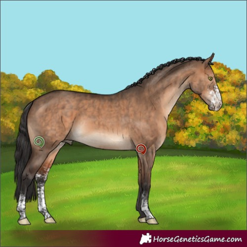 Horse Color:Brown Dun Sabino Brindle 