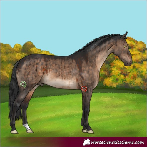 Horse Color:Brown Dun Brindle 