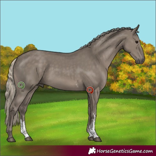 Horse Color:Silver Smoky Grullo Sabino Rabicano 