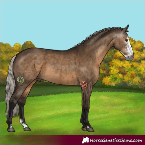 Horse Color:Gray Silver Brown Dun Sabino Brindle 