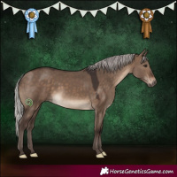 Horse Color:Silver Brown Dun