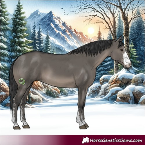 Horse Color:Grullo Sabino 