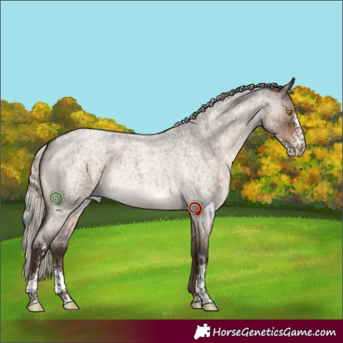 Horse Color:Silver Brown Roan Dun Sabino Rabicano Brindle 