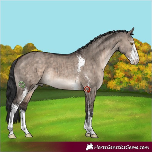 Horse Color:Brown Dun Mushroom Sabino Brindle 
