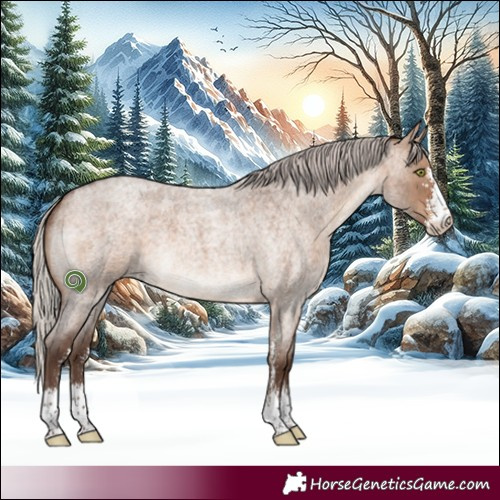 Horse Color:Silver Brown Roan Dun Sabino