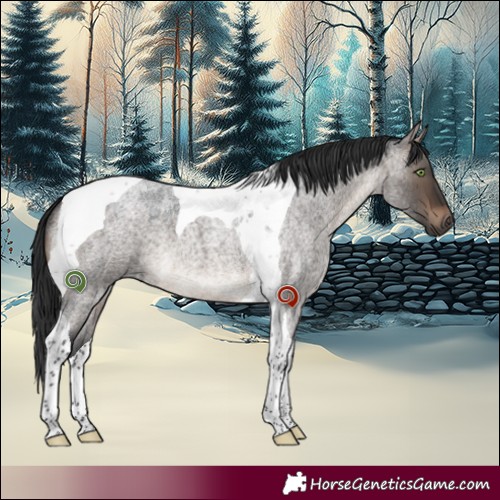 Horse Color:Brown Roan Dun Tobiano 