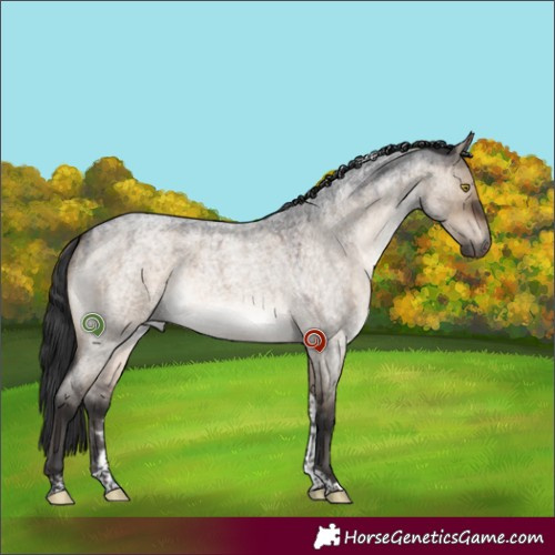 Horse Color:Brown Roan Dun Tobiano 