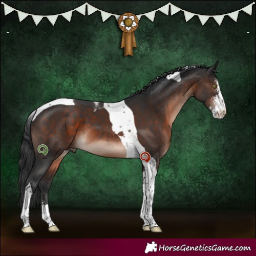 Horse Color:Brown Mushroom Sabino Tobiano 