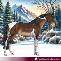 Horse Color:Brown Sabino Tobiano