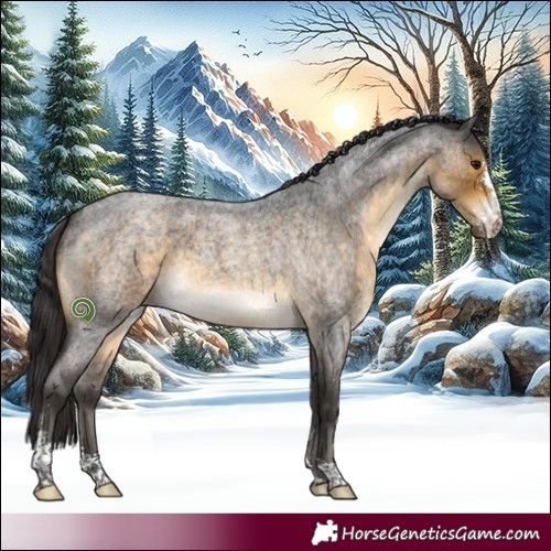 Horse Color:Buckskin Roan Sabino 