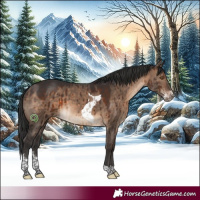 Horse Color:Brown Dun Sabino Tobiano Brindle 