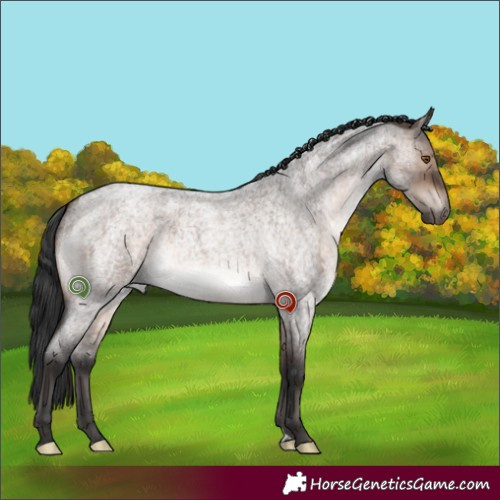 Horse Color:Brown Roan Dun Mushroom Brindle 