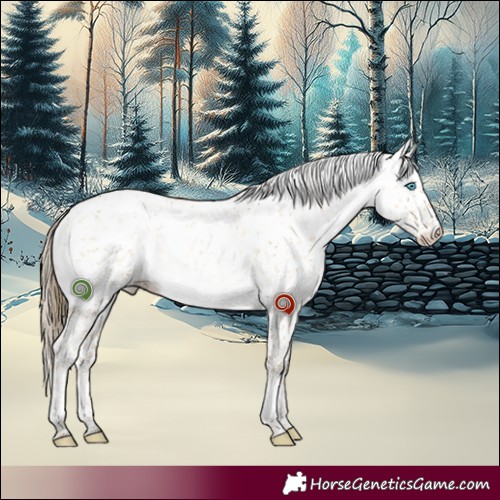 Horse Color:Buckskin Pearl Dun Sabino Brindle 