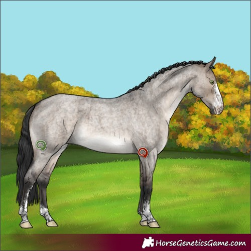 Horse Color:Brown Roan Dun Sabino Brindle 