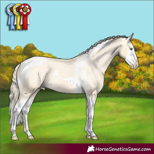 Horse Color:Gold Cream Champagne Dun Splash Tobiano Varnish Rabicano