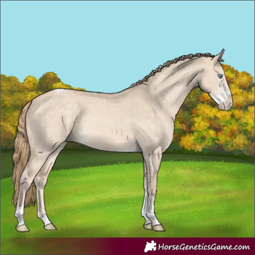 Horse Color:Perlino Dun Sabino Tobiano Rabicano