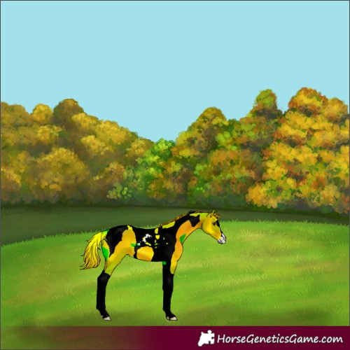 Horse Color:Watercolor Liver Red Onyx Tobiano 