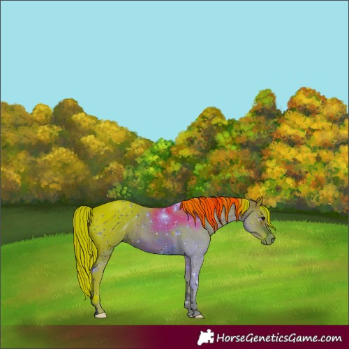 Horse Color:ERROR: UNKNOWN ANOMALY