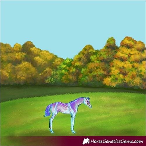 Horse Color:Thunderstruck Watercolor Chocolate Buckskin Onyx Sabino 