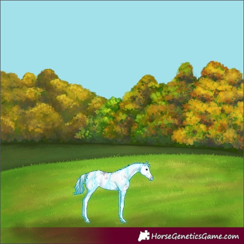 Horse Color:Thunderstruck Watercolor Buckskin Onyx Sabino 
