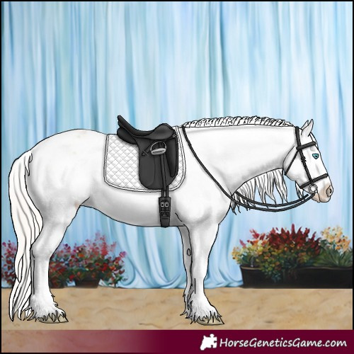 Horse Color:Cremello Dun Appaloosa  and Cremello Dun Appaloosa 