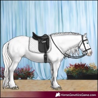 Horse Color:Cremello Dun Appaloosa and Cremello Dun Appaloosa