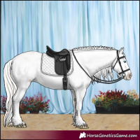 Horse Color:Cremello Dun Appaloosa  and Cremello Dun Appaloosa 