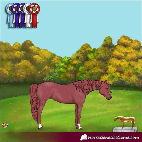 Horse Color:Watercolor Liver Chestnut 