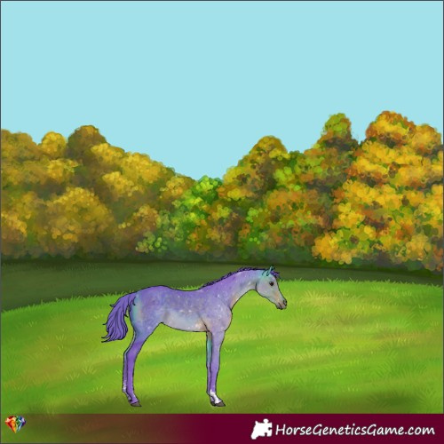 Horse Color:Watercolor Chocolate Buckskin Sabino 