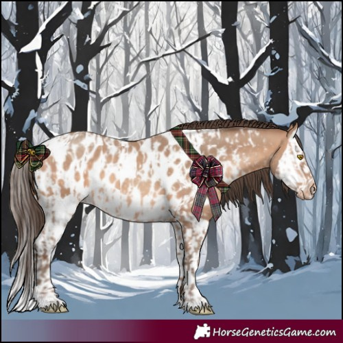 Horse Color:Amber Champagne Appaloosa and Amber Champagne Splash Appaloosa