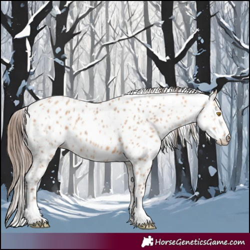 Horse Color:Amber Champagne Appaloosa  and Amber Champagne Appaloosa 