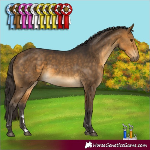 Horse Color:Buckskin 