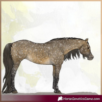 Horse Color:Buckskin Dun Snowflake Varnish  and Buckskin Dun Snowflake Varnish 