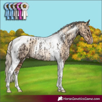 Horse Color:Liver Chestnut Tobiano Rabicano  and Chocolate Palomino Pearl Dun Tobiano Rabicano 