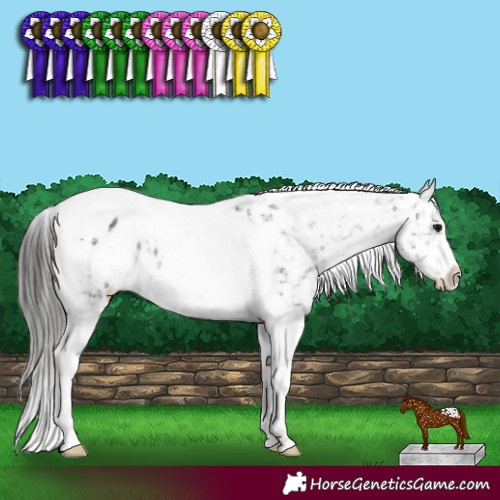 Horse Color:White Spotted Black Tobiano Frame Appaloosa Rabicano 