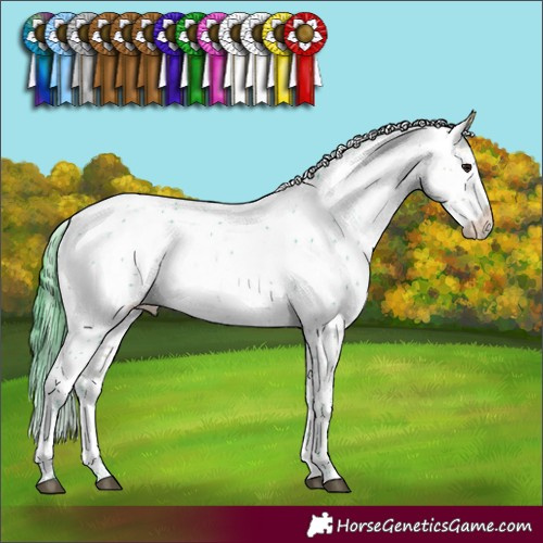Horse Color:Watercolor Buckskin Sabino Rabicano 