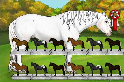 Horse Color:Silver Bay Snowcap Rabicano 