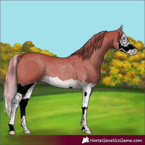 Horse Color:Watercolor Liver Chestnut Splash 